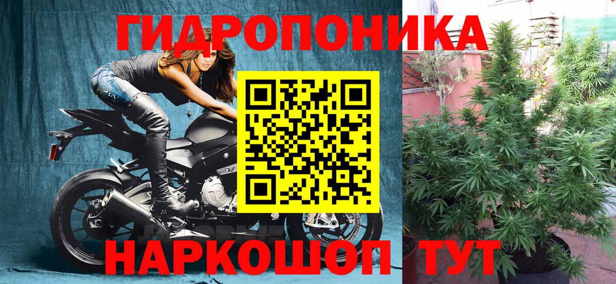 Шишки марихуана индика Бирск